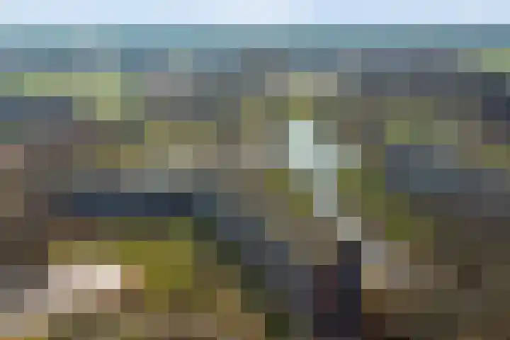 Hertogenlaan 320 Oosterhout thumbnail 29