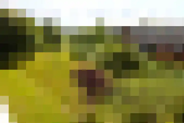 Hertogenlaan 336 Oosterhout thumbnail 10
