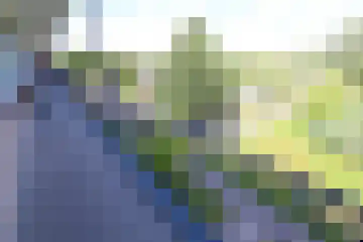 Hertogenlaan 336 Oosterhout thumbnail 17