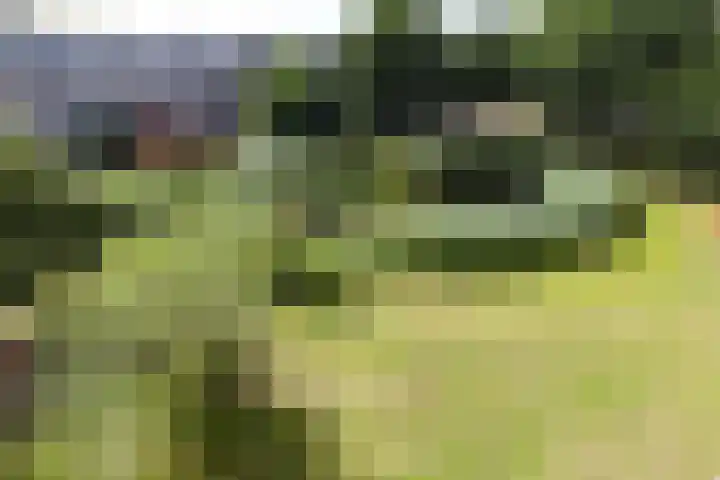 Hertogenlaan 336 Oosterhout thumbnail 25