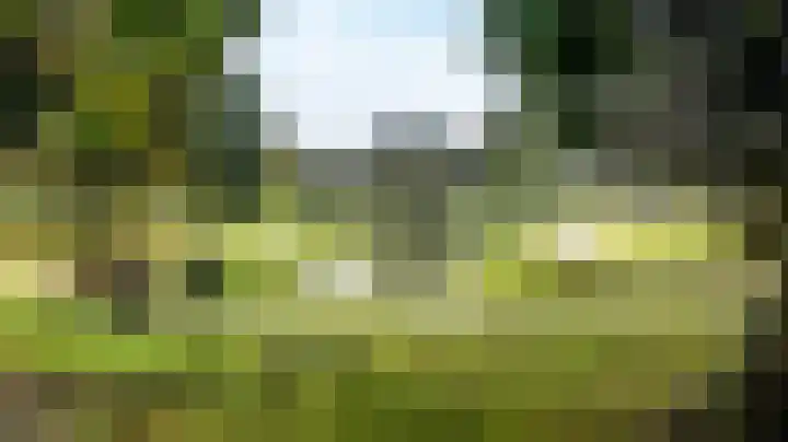 Hertogenlaan 336 Oosterhout thumbnail 26