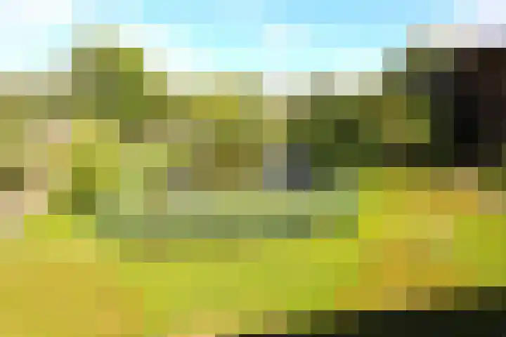 Hertogenlaan 336 Oosterhout thumbnail 27