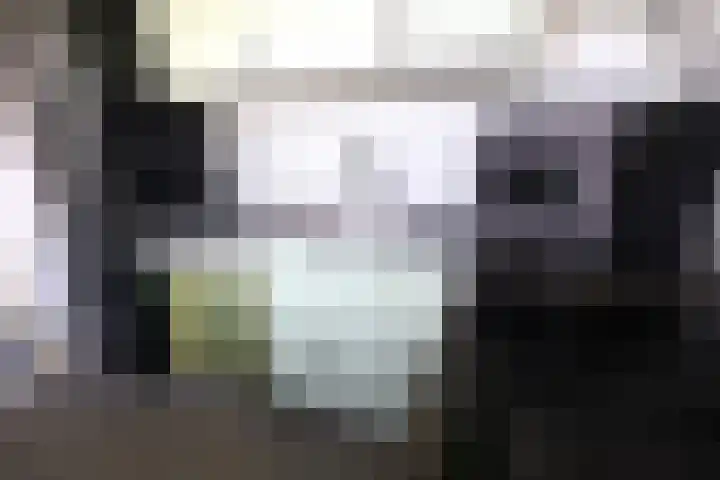 Hertogenlaan 336 Oosterhout thumbnail 4