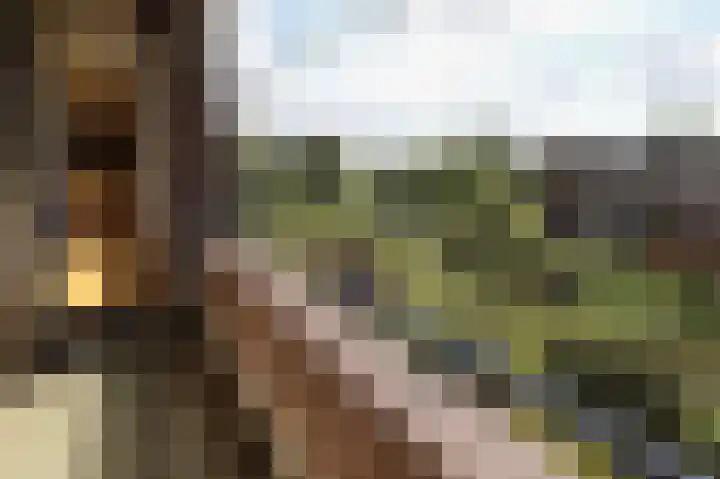 Hertogenlaan 336 Oosterhout thumbnail 8