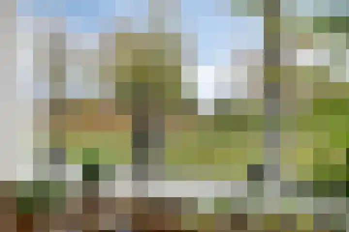 Hertogenlaan 364 Oosterhout thumbnail 10