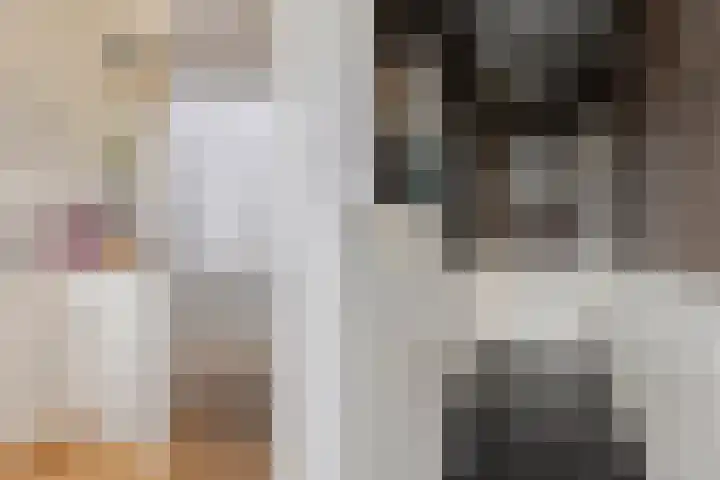 Hertogenlaan 364 Oosterhout thumbnail 16