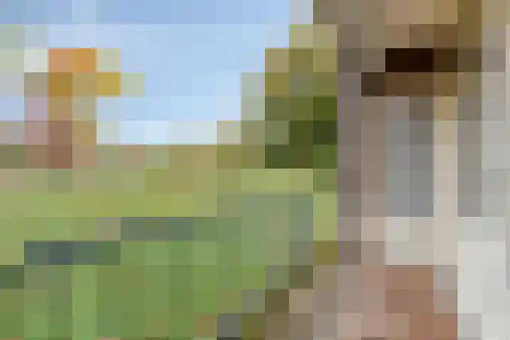 Hertogenlaan 364 Oosterhout thumbnail 22