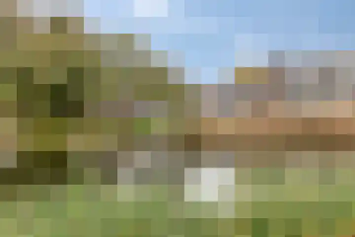 Hertogenlaan 364 Oosterhout thumbnail 24
