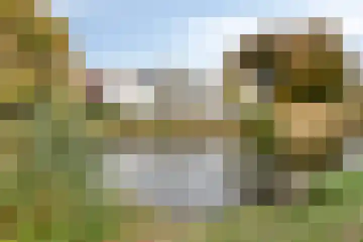 Hertogenlaan 364 Oosterhout thumbnail 25