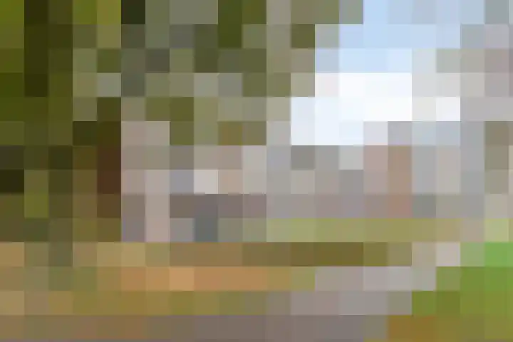 Hertogenlaan 364 Oosterhout thumbnail 26