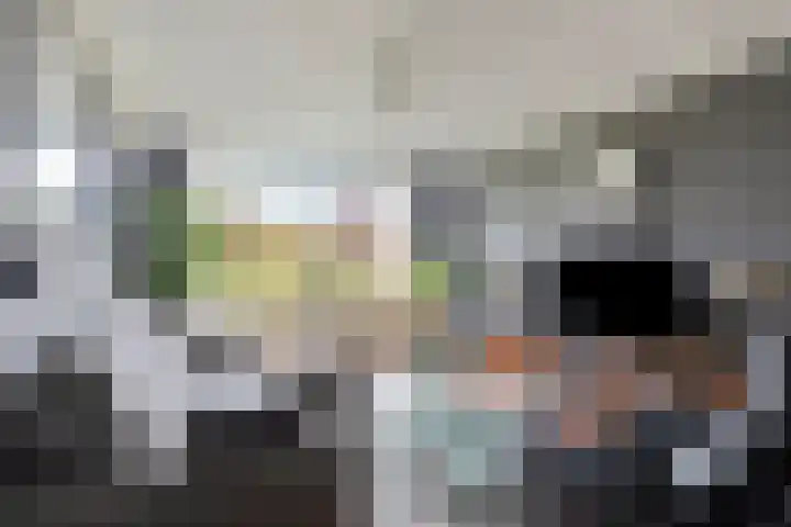 Hertogenlaan 364 Oosterhout thumbnail 6