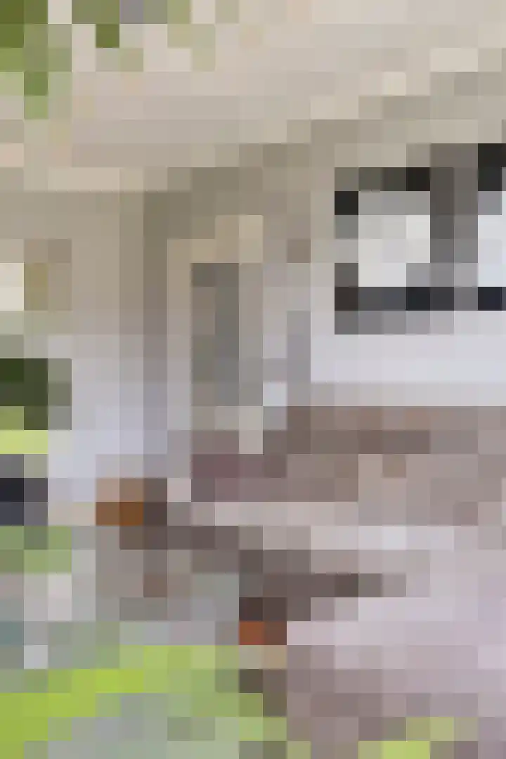 Hertogenlaan 364 Oosterhout thumbnail 8