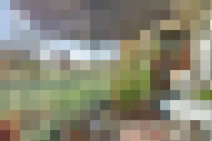 Hertogenlaan 366 Oosterhout thumbnail 17