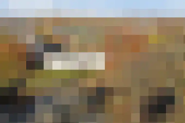 Hertogenlaan 366 Oosterhout thumbnail 25