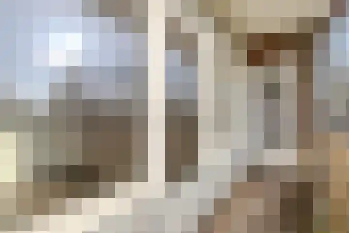 Hertogenlaan 374 Oosterhout thumbnail 18