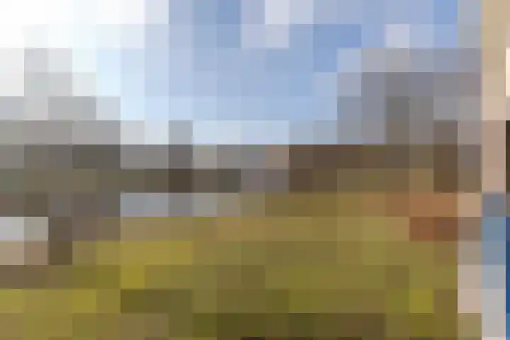 Hertogenlaan 374 Oosterhout thumbnail 19