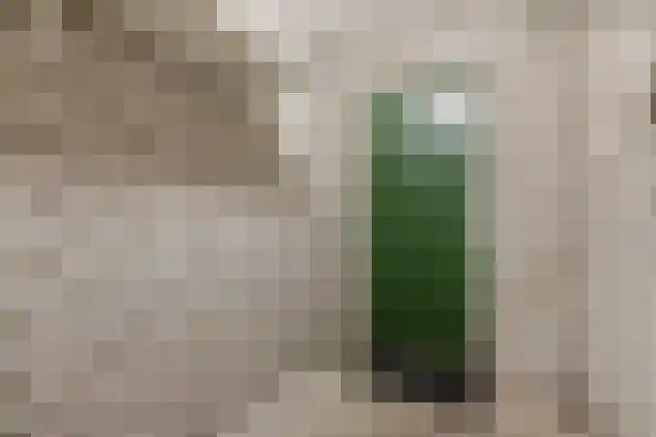 Hertogenlaan 374 Oosterhout thumbnail 22