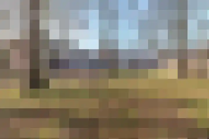 Hertogenlaan 374 Oosterhout thumbnail 29