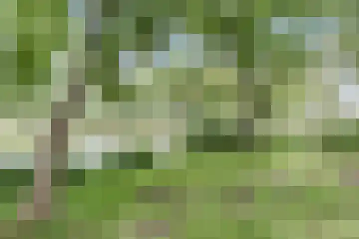 Hertogenlaan 382 Oosterhout thumbnail 21