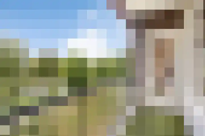 Hertogenlaan 384 Oosterhout thumbnail 8