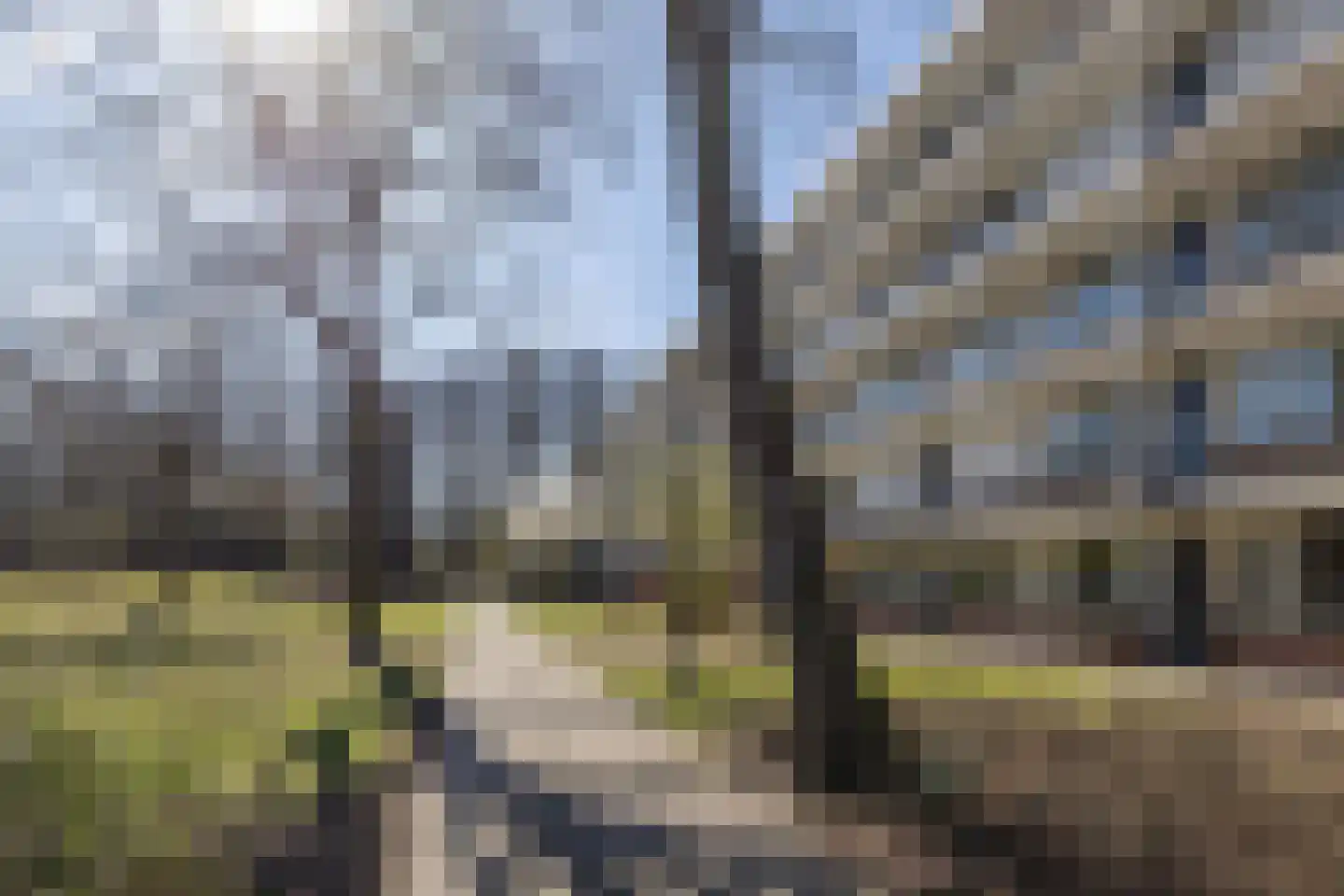Hertogenlaan 50 Oosterhout thumbnail 33