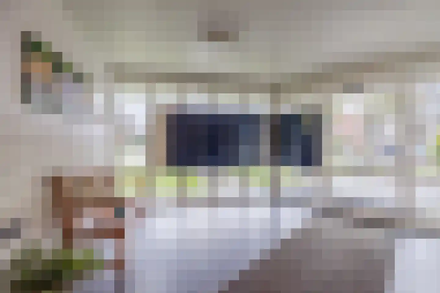 Hertogenlaan 50 Oosterhout thumbnail 7