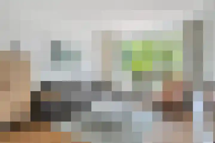 Hertogenlaan 62 Geldrop thumbnail 13