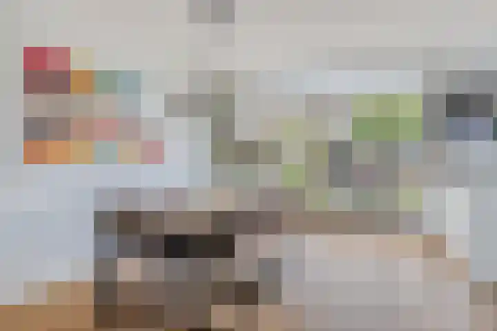 Hertogenlaan 62 Geldrop thumbnail 16