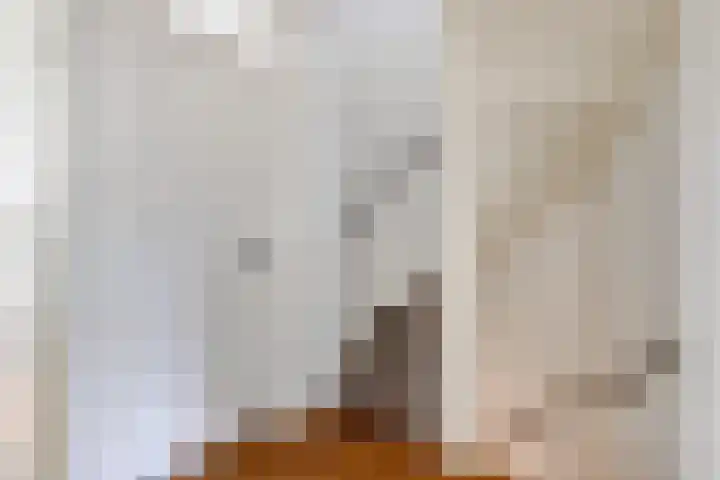 Hertogenlaan 62 Geldrop thumbnail 21