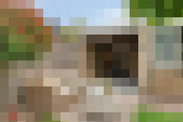 Hertogenlaan 62 Geldrop thumbnail 37