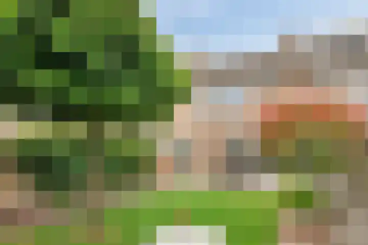 Hertogenlaan 62 Geldrop thumbnail 39