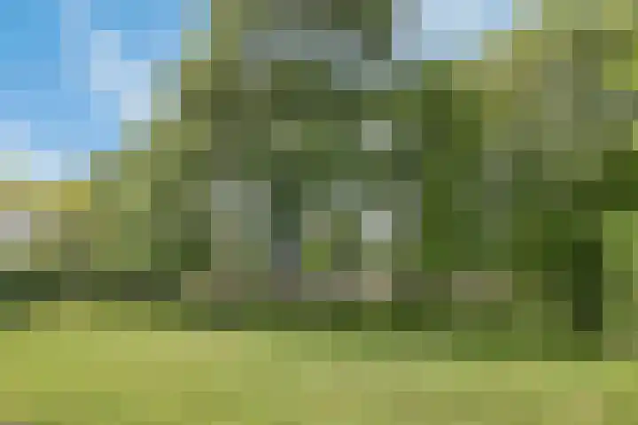 Hertogenlaan 62 Geldrop thumbnail 41