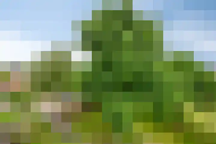 Hertogenlaan 62 Oosterhout thumbnail 21