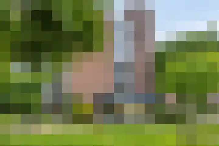 Hertogenlaan 62 Oosterhout thumbnail 22