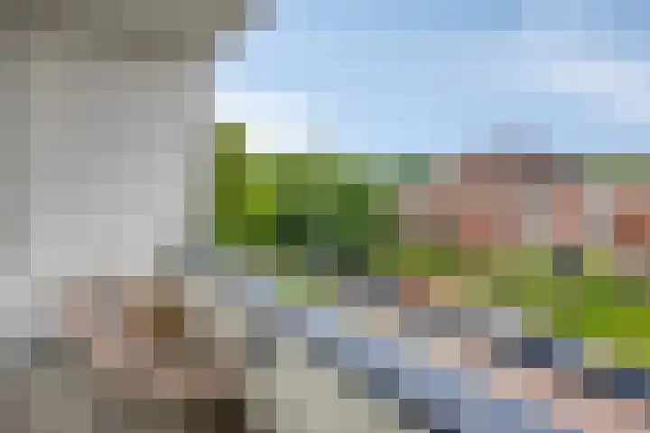 Hertogenlaan 62 Oosterhout thumbnail 8