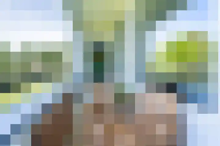 Hertogenlaan 90 Oosterhout thumbnail 11