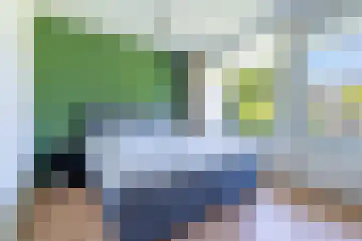 Hertogenlaan 90 Oosterhout thumbnail 12