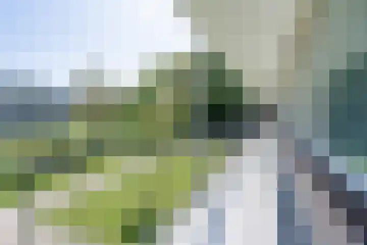 Hertogenlaan 90 Oosterhout thumbnail 20