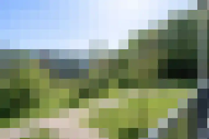 Hertogenlaan 90 Oosterhout thumbnail 22