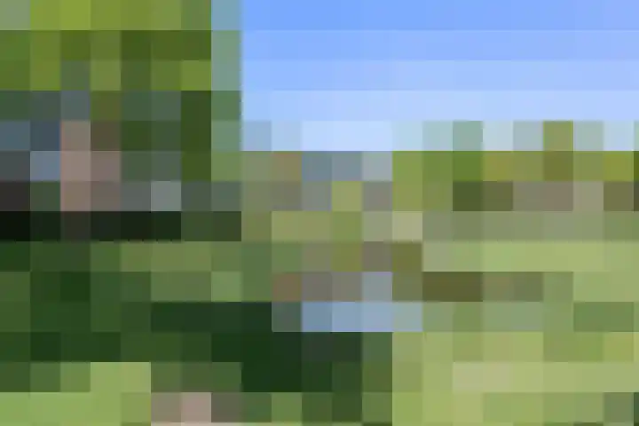 Hertogenlaan 90 Oosterhout thumbnail 24