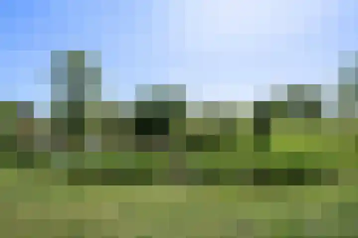 Hertogenlaan 90 Oosterhout thumbnail 25