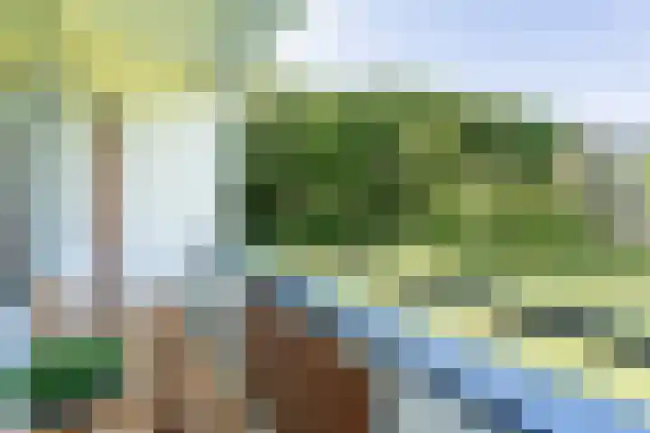 Hertogenlaan 90 Oosterhout thumbnail 5