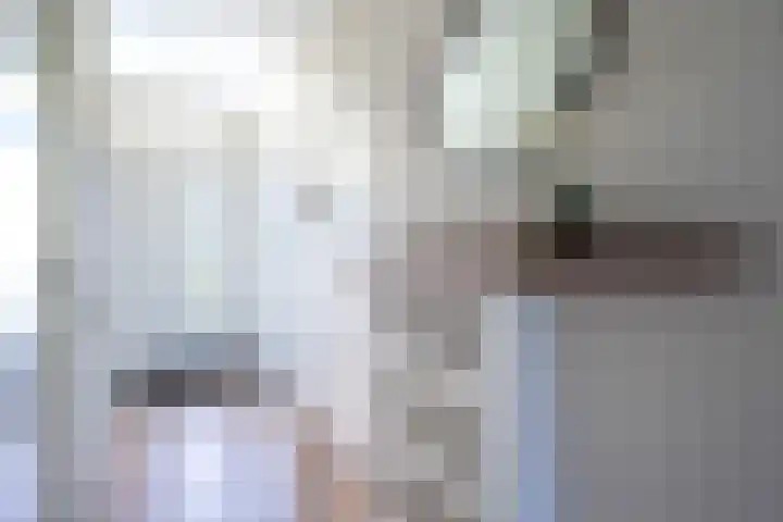 Hertogenlaan 90 Oosterhout thumbnail 6
