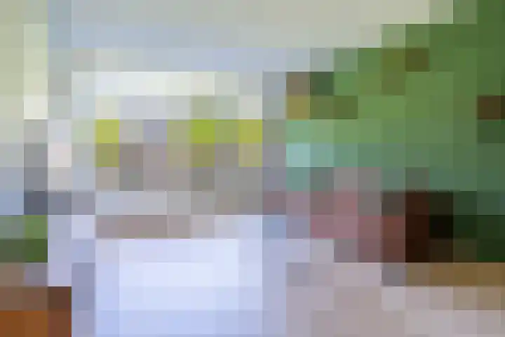 Hertogenlaan 90 Oosterhout thumbnail 8