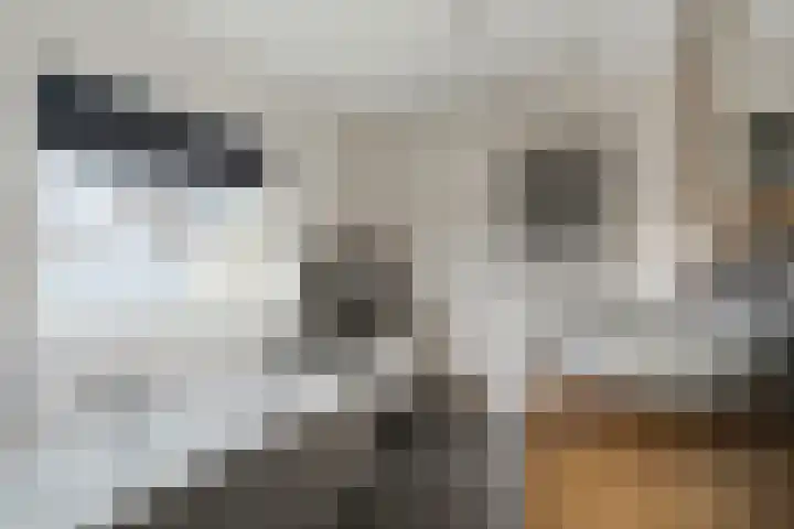 Hertogensingel 19 Oss thumbnail 22