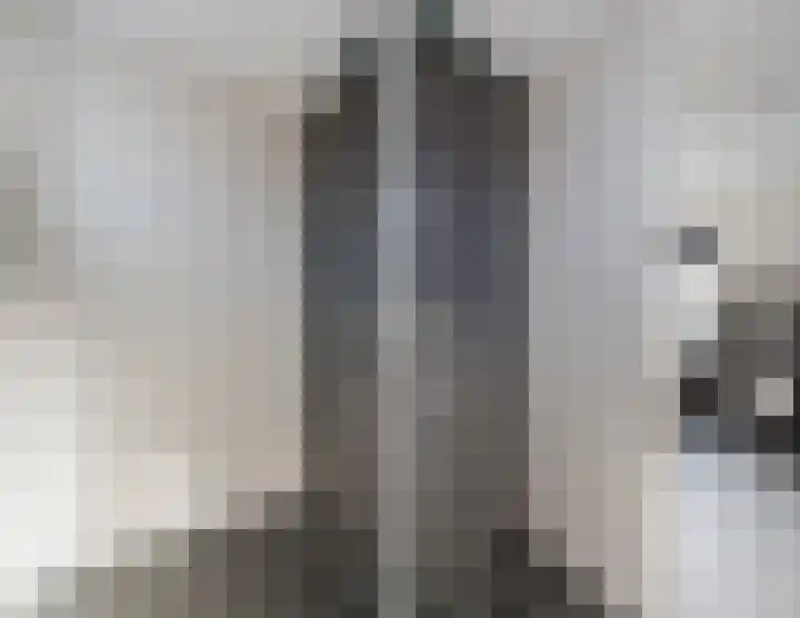 Hertogensingel 19 Oss thumbnail 24