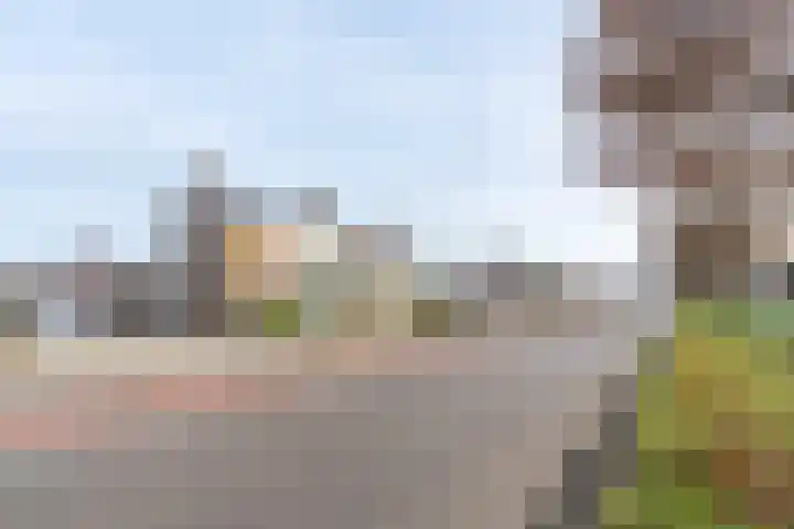 Hertogensingel 19 Oss thumbnail 35