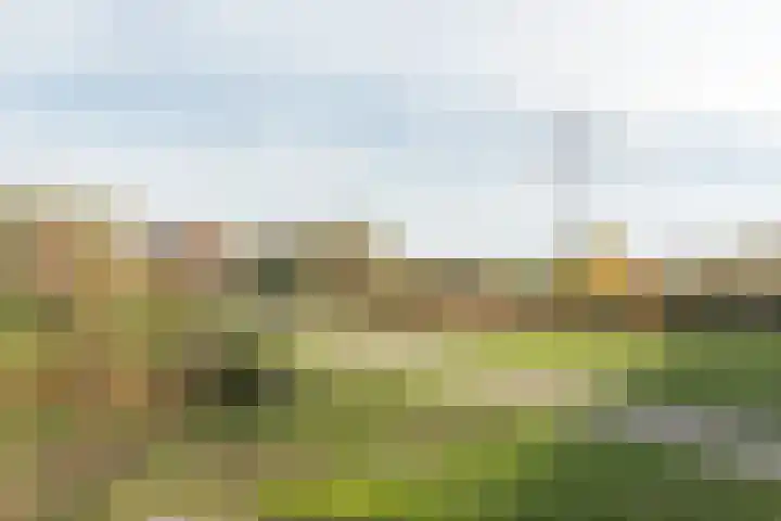 Hertogensingel 19 Oss thumbnail 37