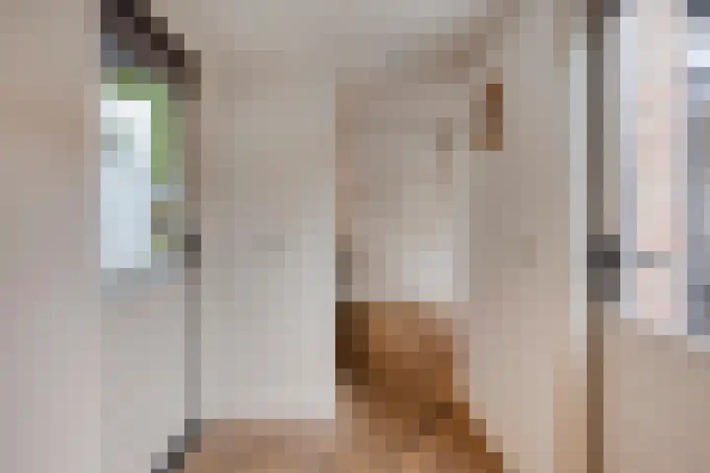 Hertogensingel 68 Oss thumbnail 15