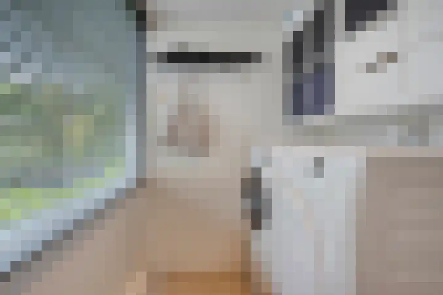 Hertogensingel 68 Oss thumbnail 21